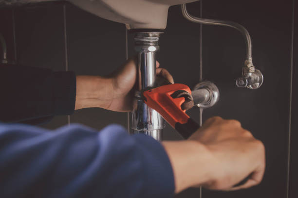 Best Drain Cleaning Services  in San Lorenzo, CA